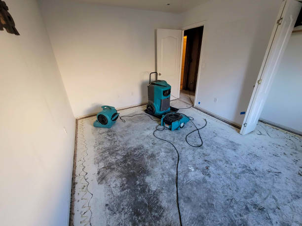 Best Water damage restoration process  in Midway, GA