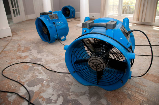 Best Commercial water damage restoration  in Midway, GA